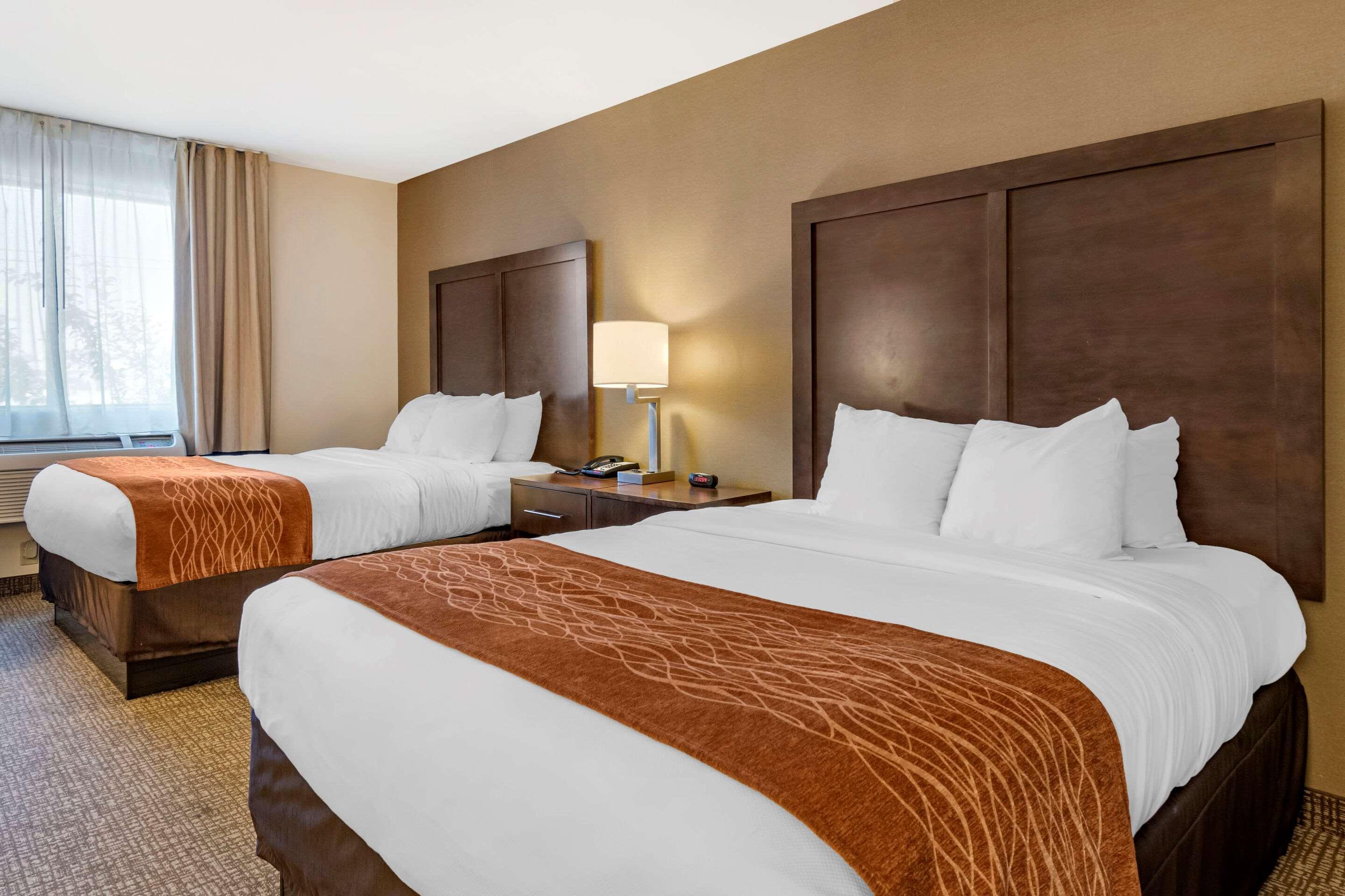 Comfort Inn Williamsport Dış mekan fotoğraf